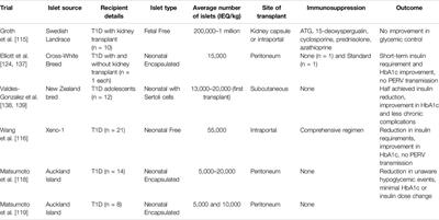 Pig Xenotransplantation in Beta Cell Replacement: Addressing Challenges and Harnessing Potential for Type 1 Diabetes Therapy